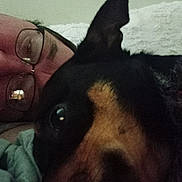 Blue is registered to the contest to win money with this photo: person, dog, glasses, close_up, indoor, snuggling, face, black_dog, tan_markings, pet, companion, cozy, relaxed, blanket, casual, portrait, friendship, resting, cuddling, eyewear