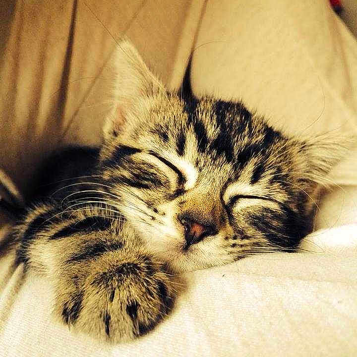 Biggsie is registered to the contest to win money with this photo: