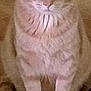 Toby is registered to the contest to win money with this photo: cat, ginger_cat, pet, animal, feline, sitting, wide_eyes, indoor, wooden_floor, fur, whiskers, tail, cute, domestic_animal, looking, front_view, mammal, household, companion, alert