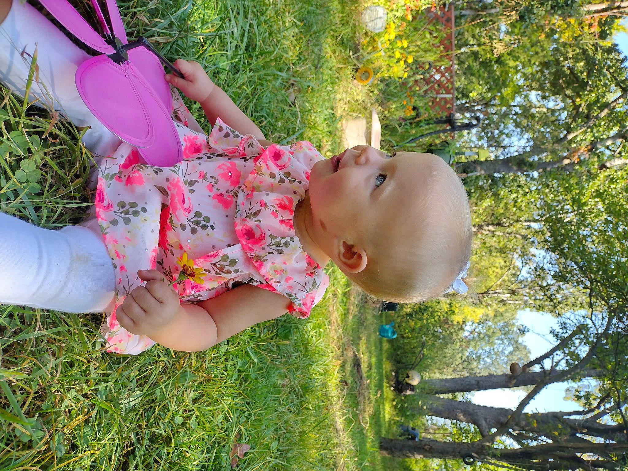 Jude is registered to the contest to win money with this photo: baby, child, fruit, fun, garden, grass, green, happy, hat, leisure, pattern, people_in_nature, person, plant, play, recreation, sandal, thigh, toddler, tree