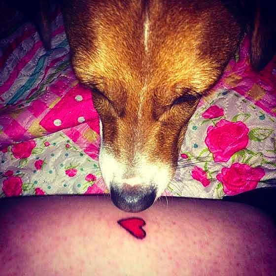 Poppy is registered to the contest to win money with this photo: