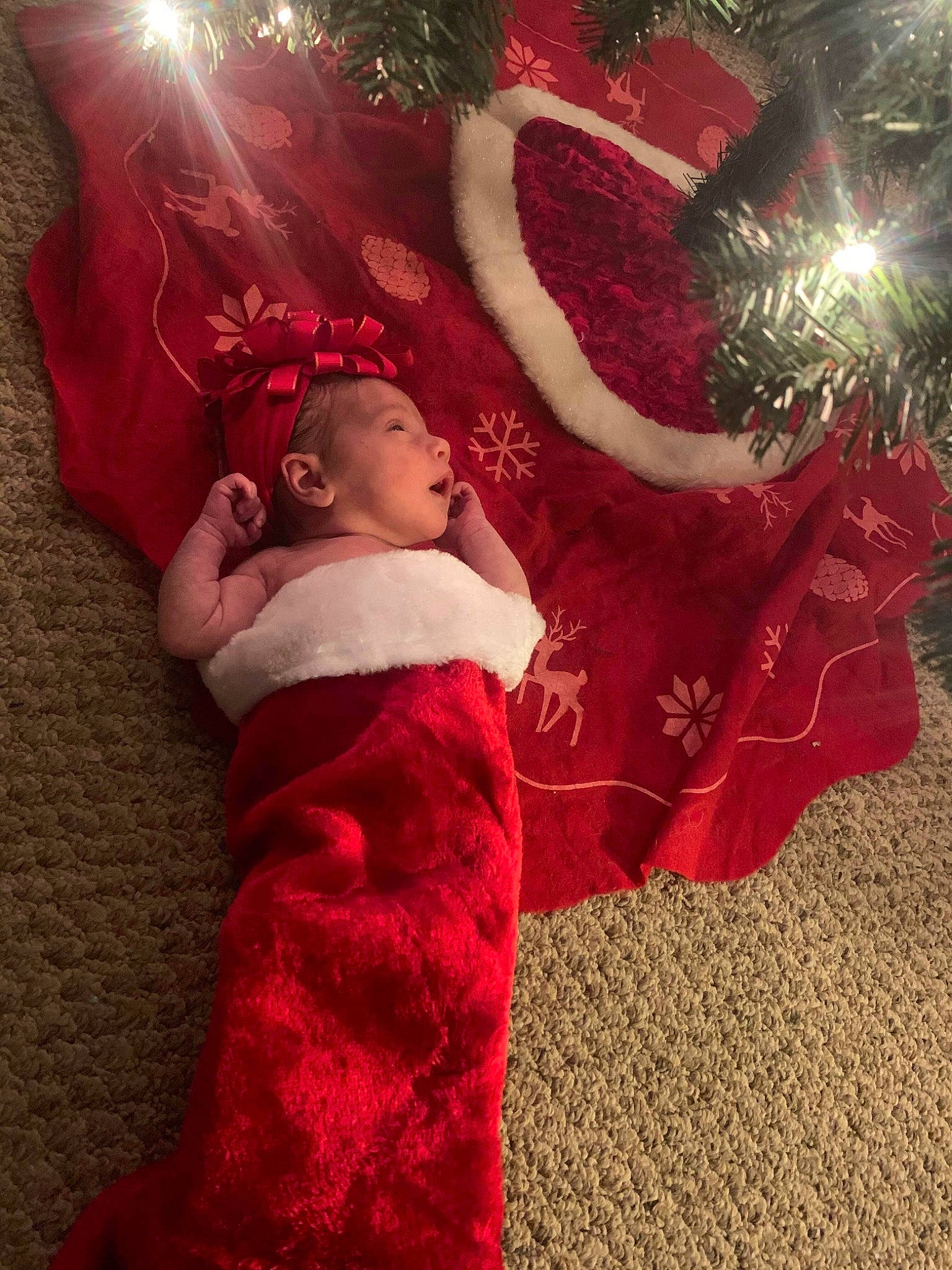 Rylee joined the competition — help win amazing prizes! baby, baby_toddler_clothing, christmas, christmas_decoration, christmas_eve, christmas_ornament, conifer, costume, costume_accessory, costume_hat, festival, fictional_character, fur, fur_clothing, holiday, holiday_ornament, ornament, person, red, tradition