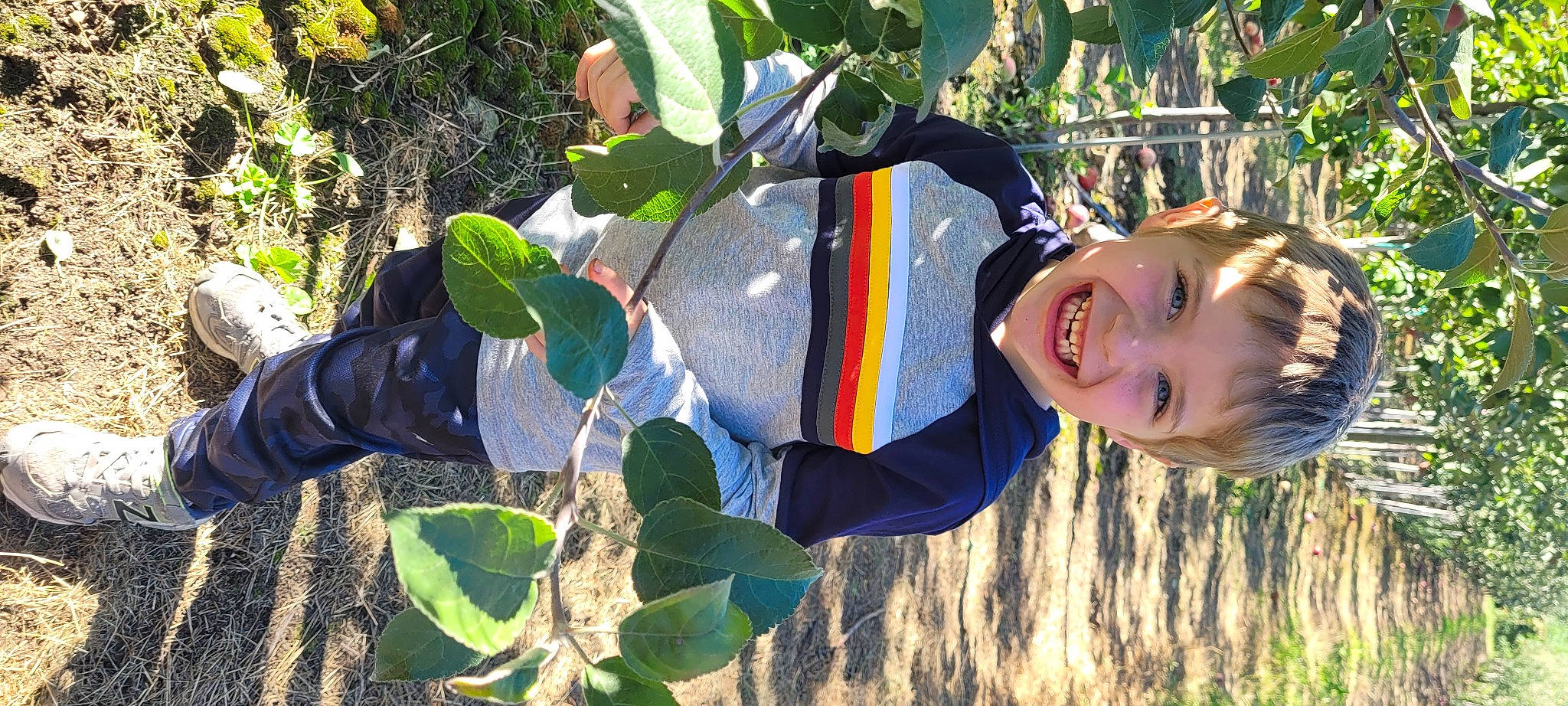 Xavier participe au concours pour gagner de l'argent avec cette photo : adaptation, agriculture, annual_plant, flowering_plant, fruit, fun, gardening, grass, happy, hat, joy, leisure, people_in_nature, person, plant, plantation, smile, soil, t_shirt, toddler