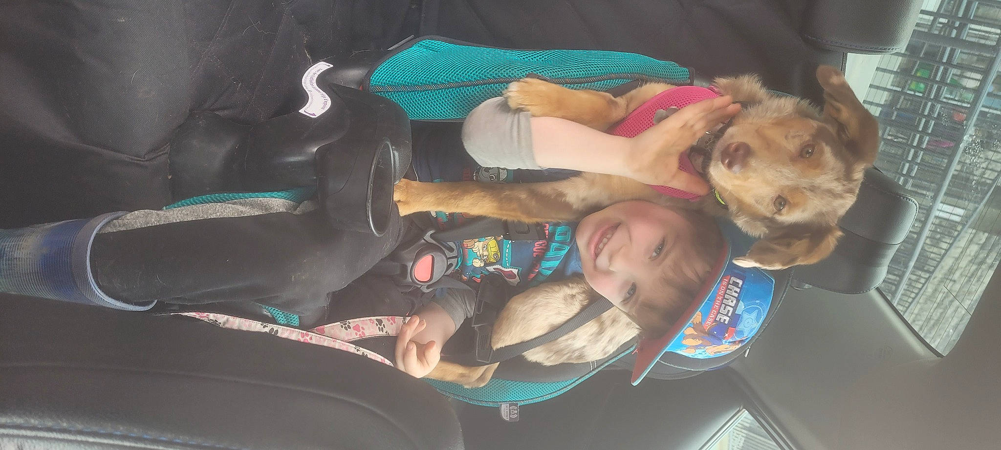 Xavier participe au concours pour gagner de l'argent avec cette photo : auto_part, automotive_exterior, baby, baby_products, car_seat, car_seat_cover, child, comfort, companion_dog, dog_breed, family_car, fun, headwear, joy, lap, mouth, person, personal_luxury_car, sitting, smile