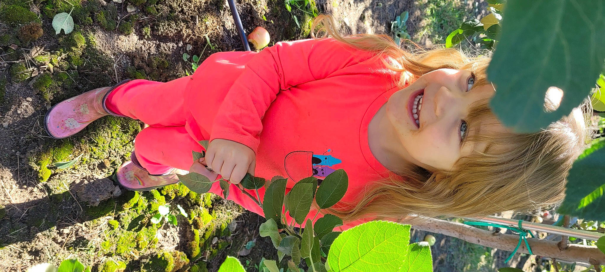 Laurie-anne participe au concours pour gagner de l'argent avec cette photo : annual_plant, botany, carmine, coquelicot, fun, grass, groundcover, happy, joy, leaf, leaf_vegetable, leisure, pattern, people_in_nature, person, petal, plant, plantation, shrub, smile
