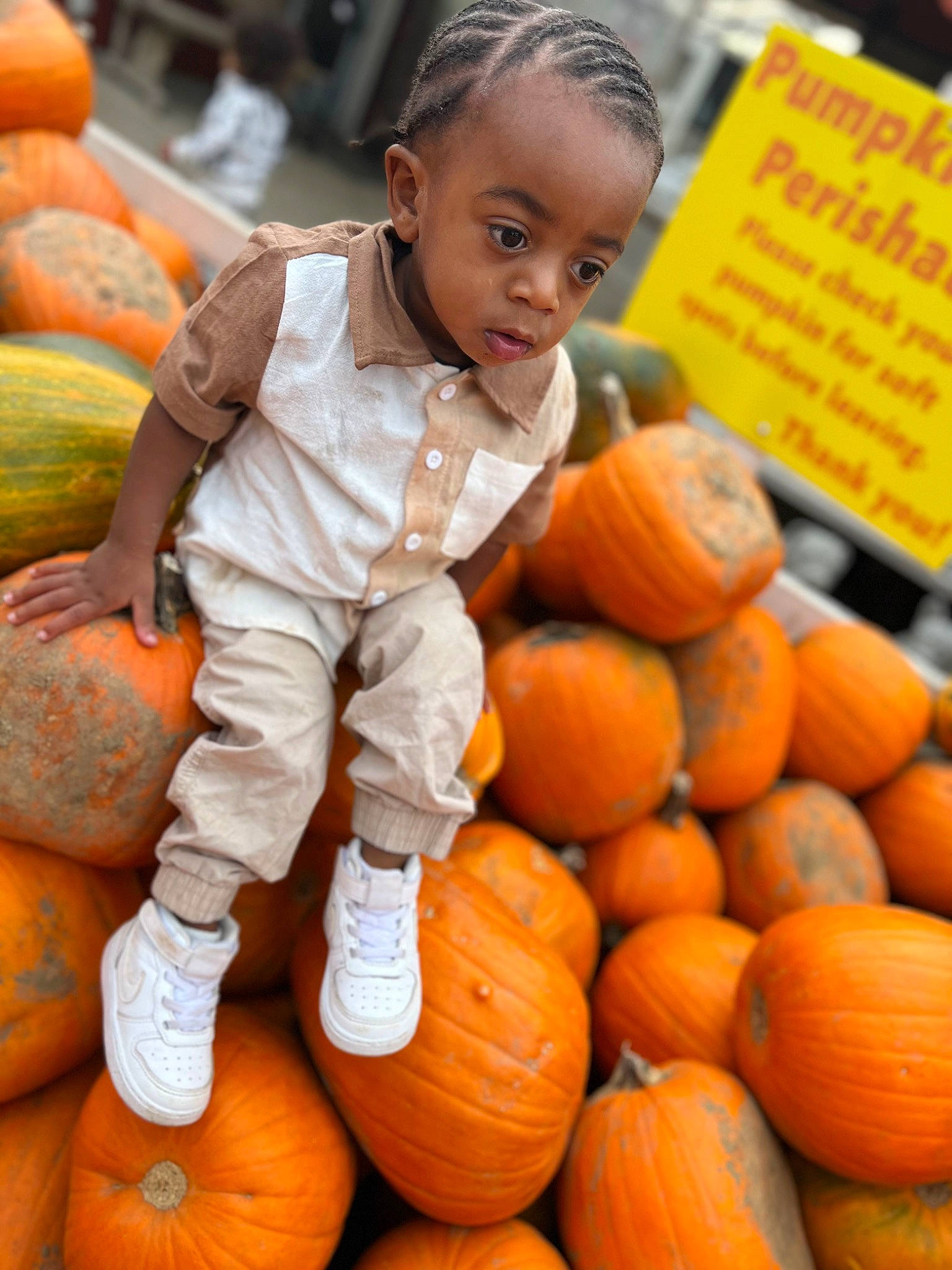 Jeffrey joined the competition — help win amazing prizes! calabaza, child, cucurbita, food, fruit, gourd, happy, local_food, natural_foods, orange, person, plant, produce, pumpkin, squash, superfood, toddler, vegan_nutrition, vegetable, whole_food