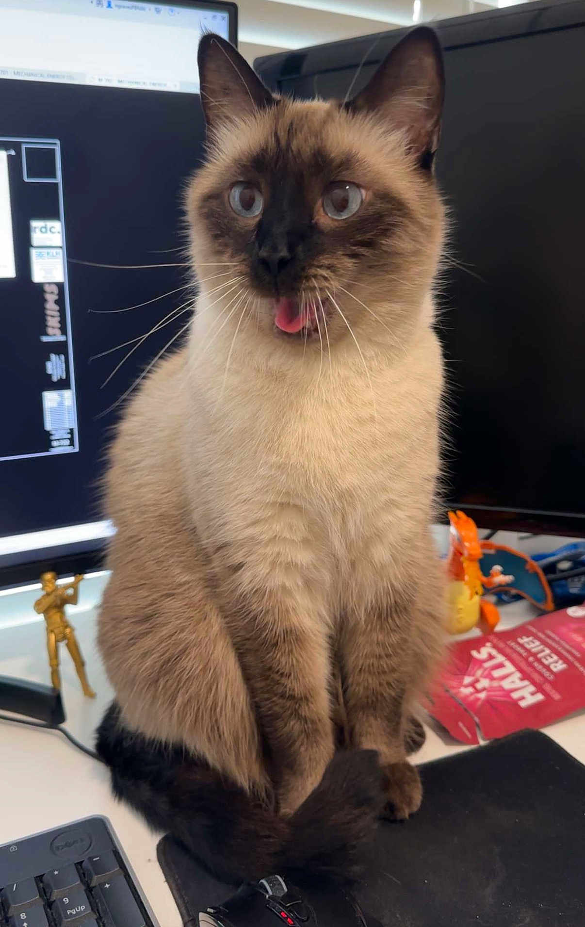 Oliver