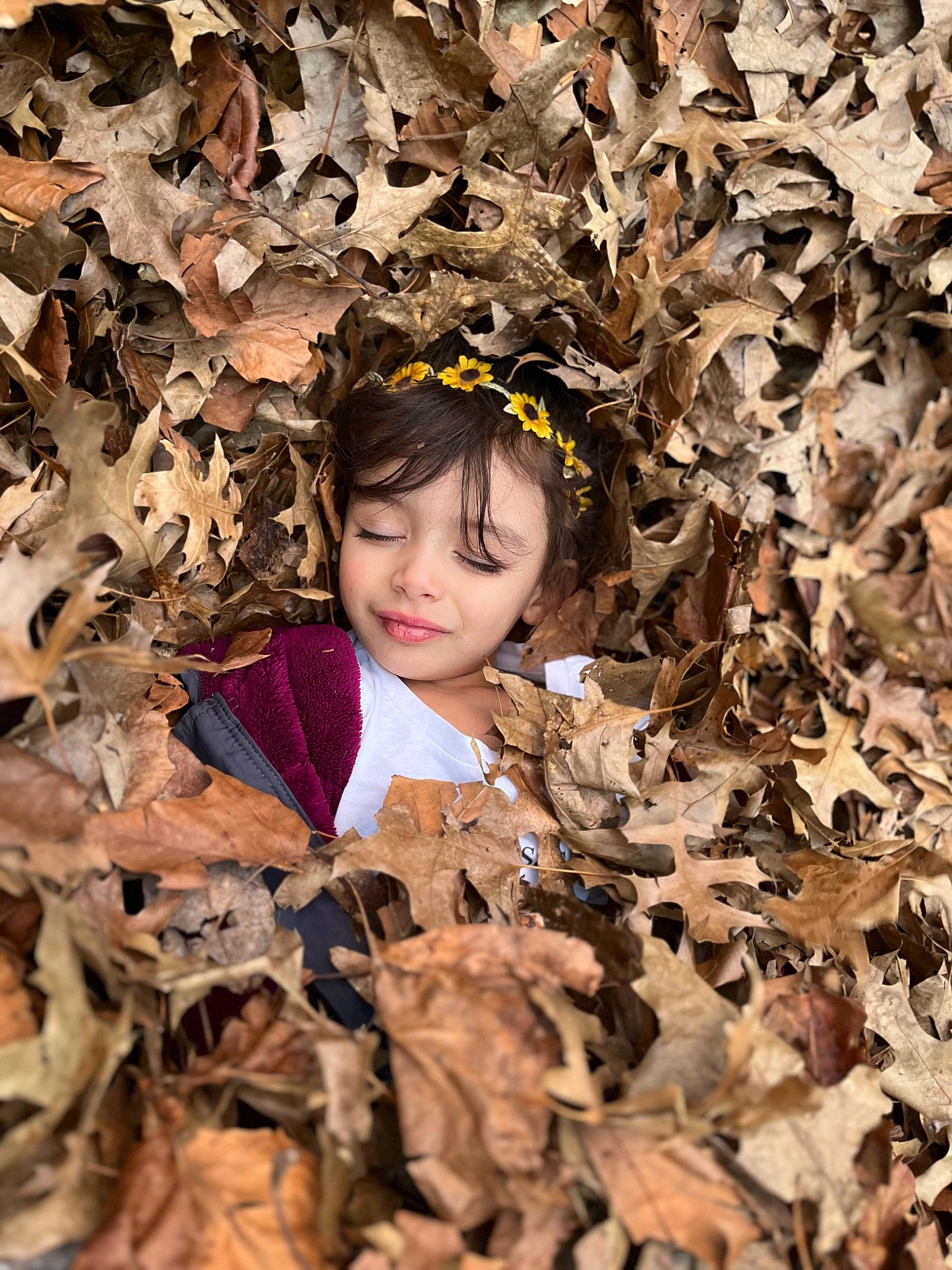 Jeighla joined the competition — help win amazing prizes! adaptation, autumn, botany, branch, child, deciduous, face, fun, grass, happy, leaf, people_in_nature, person, portrait_photography, smile, soil, spring, tints_and_shades, twig, wood