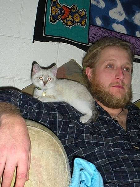 Wiley is registered to the contest to win money with this photo: beard, carnivore, cat, comfort, domestic_short_haired_cat, fawn, felidae, fur, gesture, lap, mammal, moustache, mouth, nail, paw, plaid, sitting, small_to_medium_sized_cats, thumb, whiskers