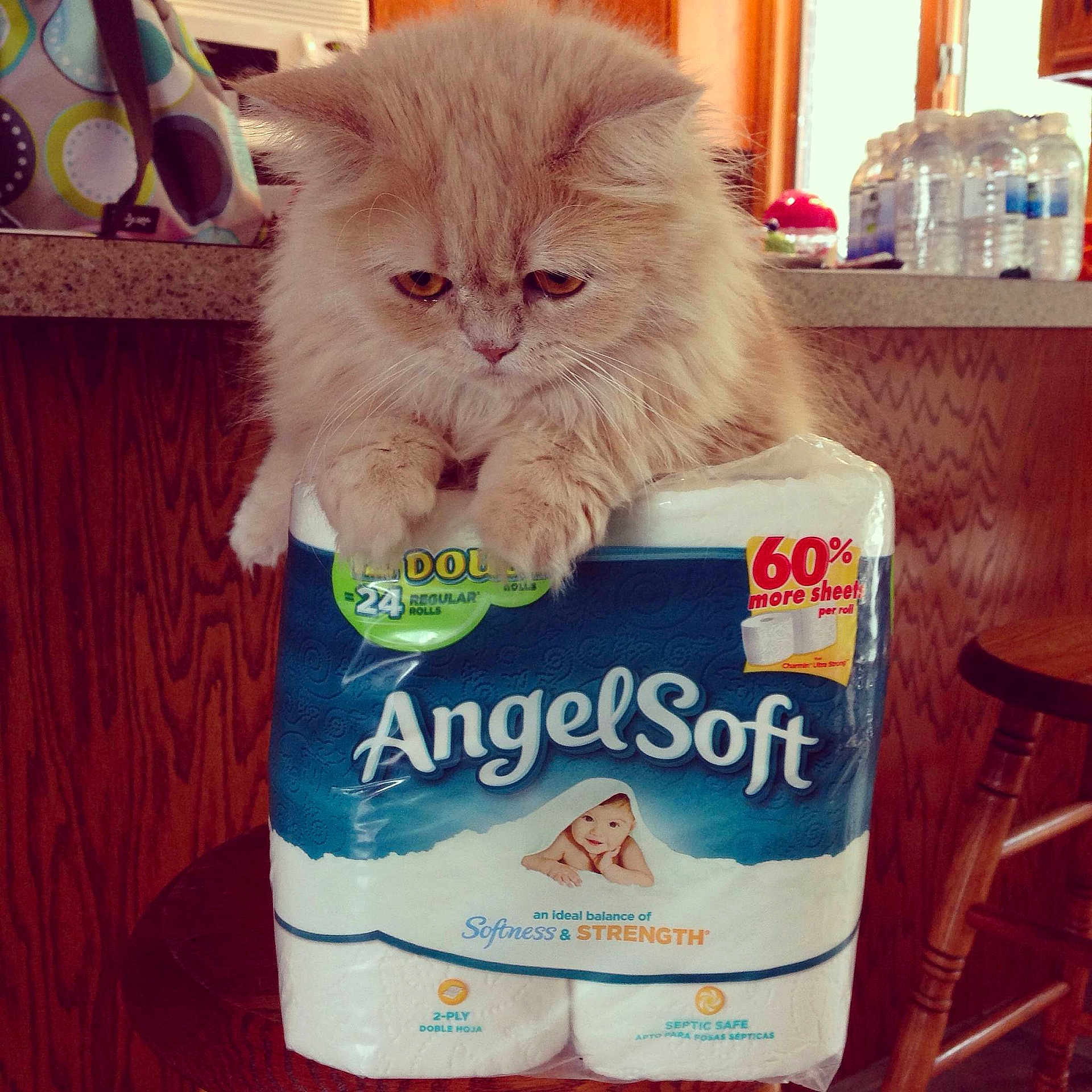 Macie is registered to the contest to win money with this photo: