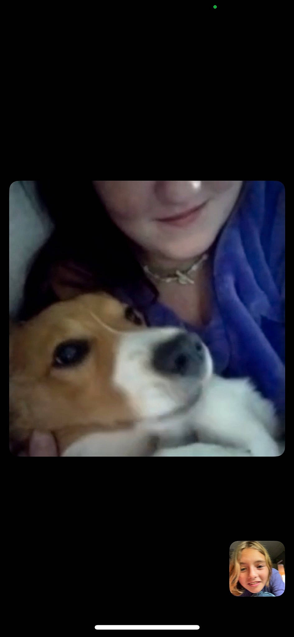 Sandy joined the competition — help win amazing prizes! canidae, carnivore, companion_dog, display_device, dog, dog_breed, ear, eyelash, eyewear, fawn, fur, happy, jaw, nose, photo_caption, puppy_love, selfie, snout, sporting_group, whiskers