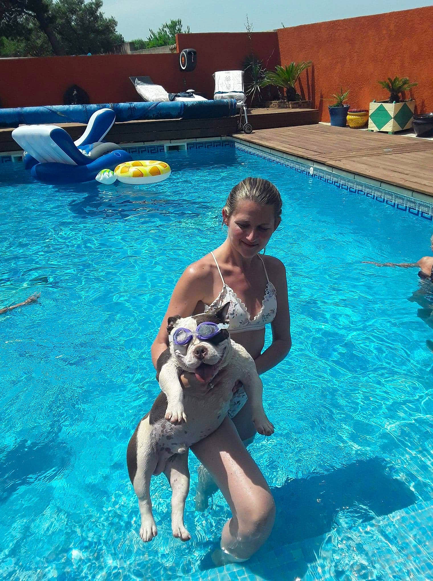 Tank a rejoint le concours — aidez-le/la à gagner de superbes lots ! aqua, azure, blue, carnivore, companion_dog, dog, fun, happy, leisure, leisure_centre, plant, recreation, resort_town, shorts, smile, summer, swimming_pool, swimwear, thigh, water