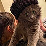 animal, cat, closeup, cozy, cute, eyes, face, feline, fluffy, fur, gray_cat, hat, headwear, holding, indoor, knit_hat, person, pet, portrait, warm