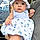 Evangeline