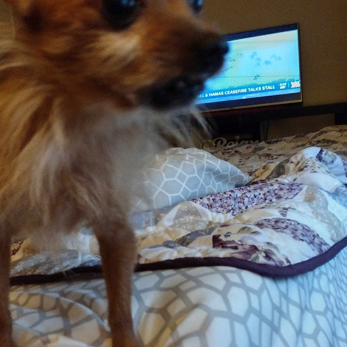Charlie
