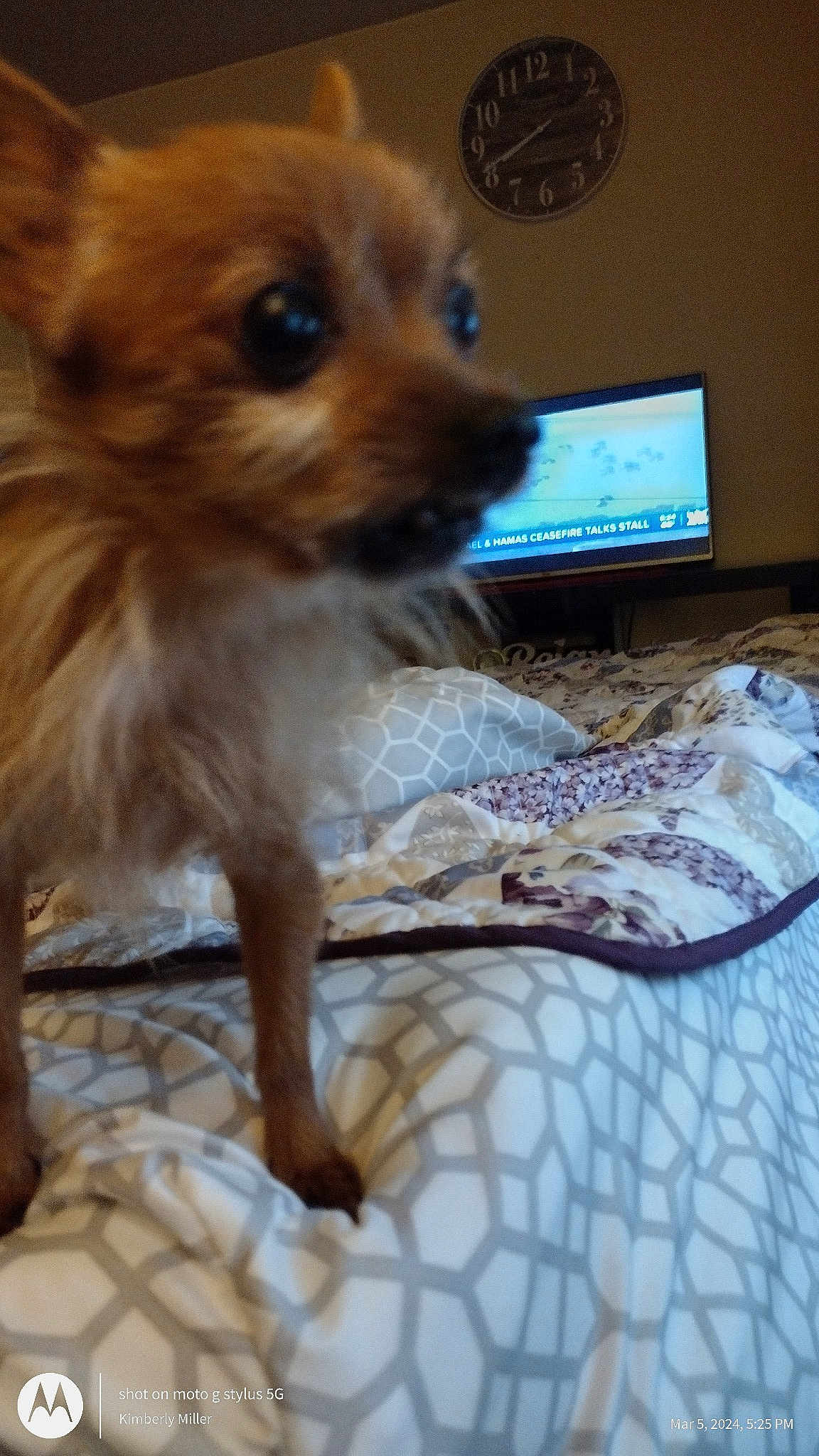 Charlie
