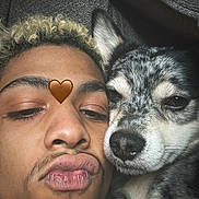 Firu is registered to the contest to win money with this photo: affectionate, blanket, close_up, couch, cuddling, curly_hair, dog, eyes, face, fur, heart_sticker, human_and_pet, indoors, lips, mustache, nose, person, portrait, selfie, small_dog