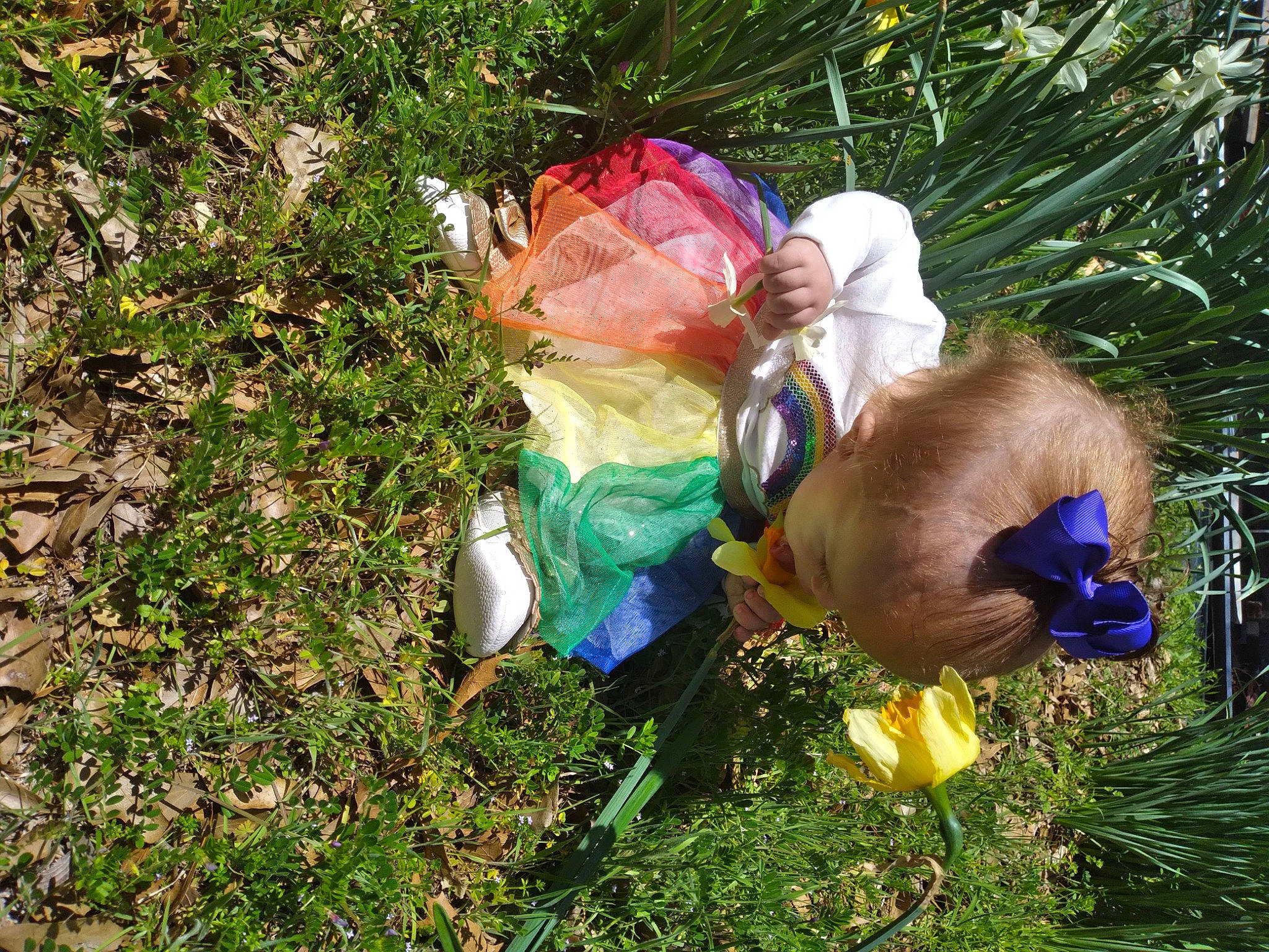 Annalise is registered to the contest to win money with this photo: agriculture, annual_plant, electric_blue, fun, garden, gardening, grass, grassland, groundcover, lawn_ornament, litter, natural_material, people_in_nature, plant, plastic, plastic_bag, shrub, soil, waste, wildflower