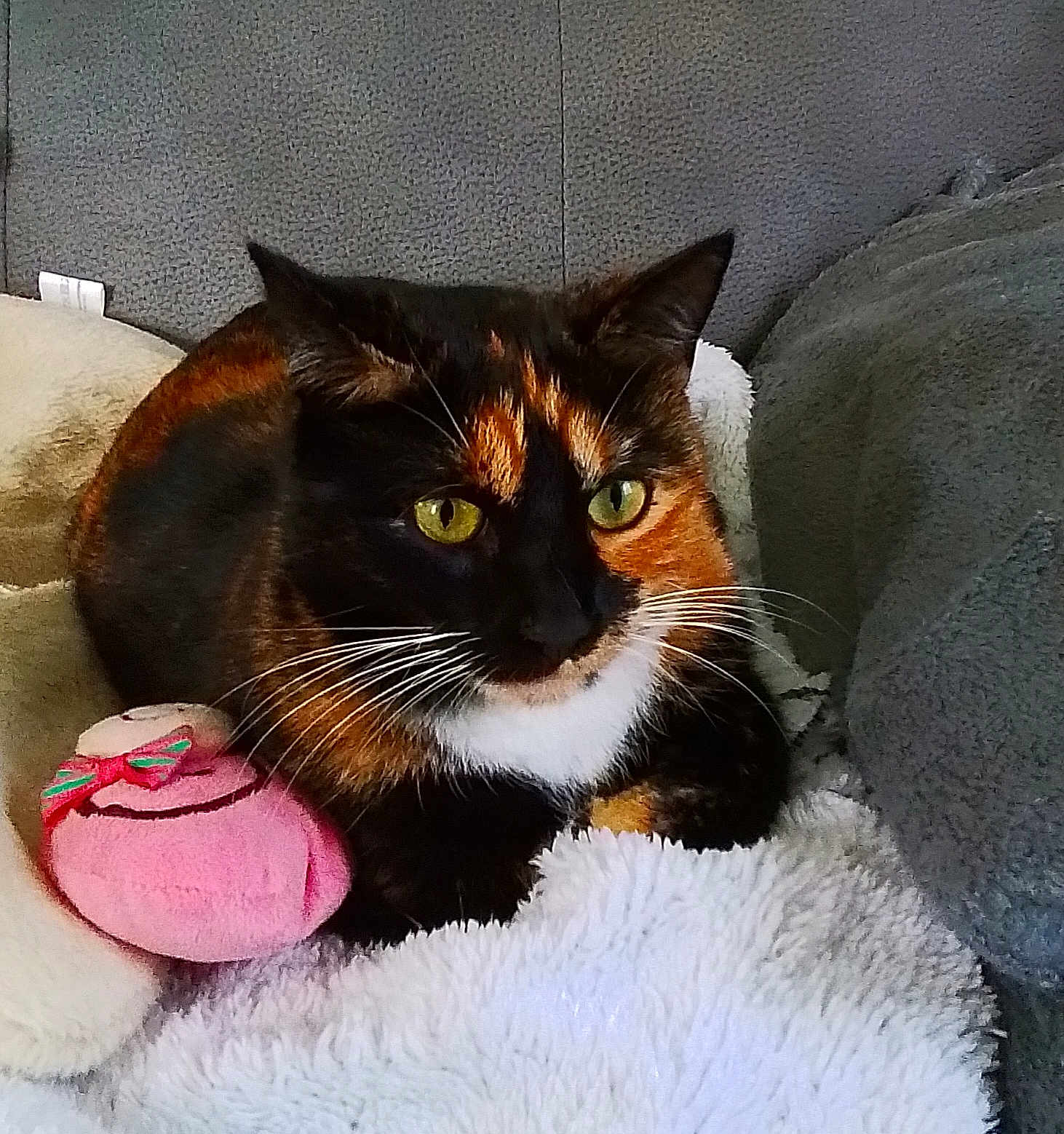 Milly