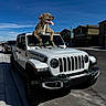 dog, jeep, car, vehicle, outdoor, suburban, street, blue_sky, sunny, rubber_duck, dashboard, tongue_out, happy, brindle, pet, parked_car, house, residential_area, sidewalk, daytime
