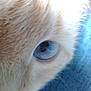 Miro participe au concours pour gagner de l'argent avec cette photo :