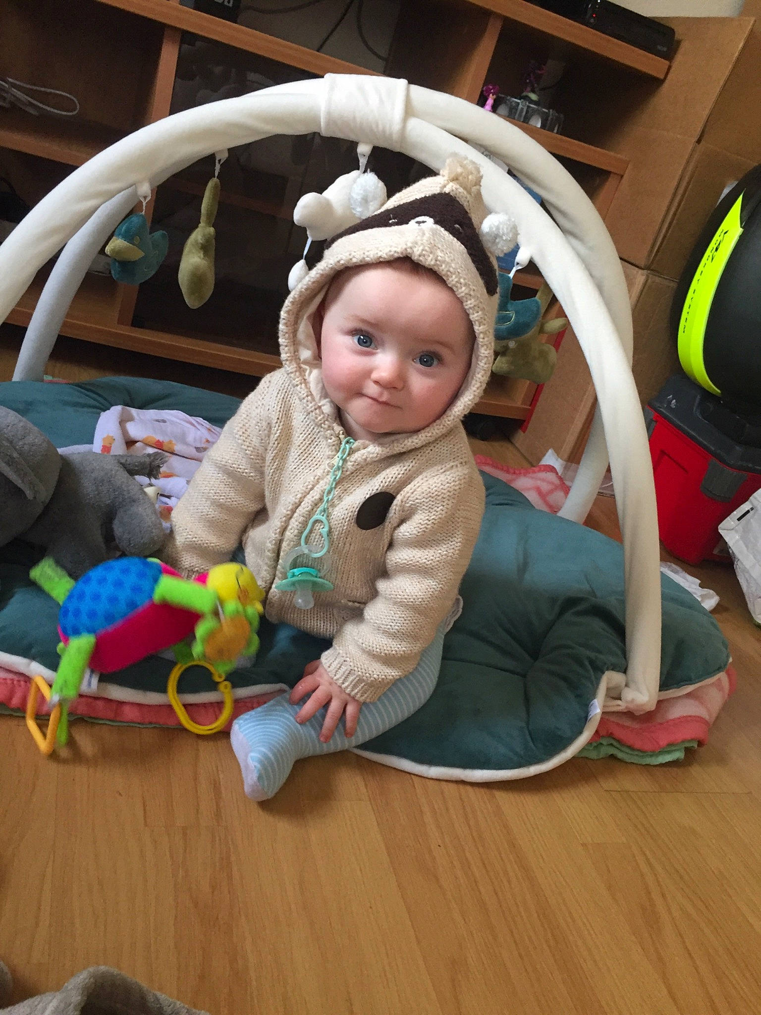 Aloïs participe au concours pour gagner de l'argent avec cette photo : child, fun, infant, person, play, product, toddler, toy