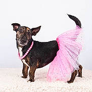 Miley is registered to the contest to win money with this photo: