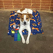 Delilah is registered to the contest to win money with this photo: