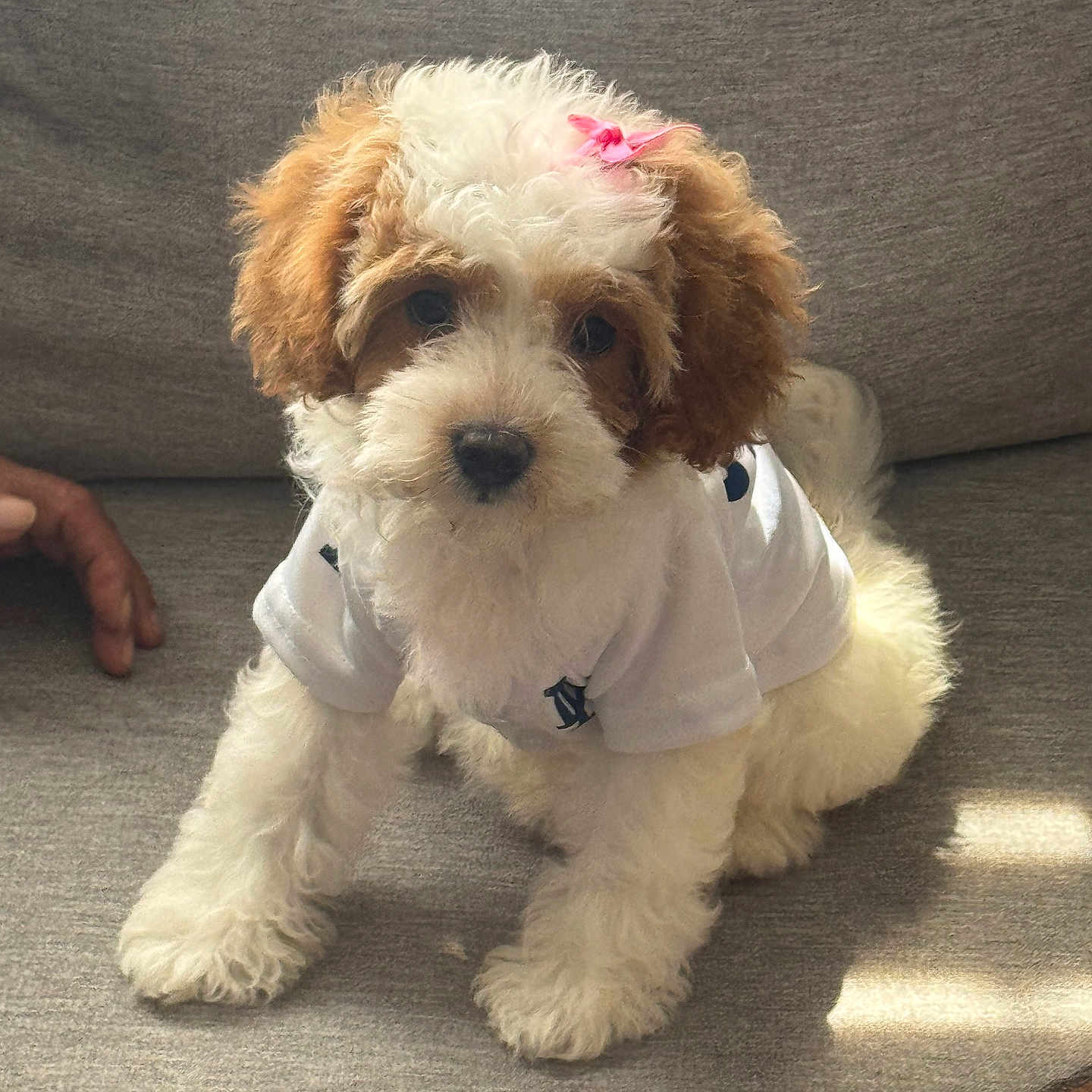 Lola