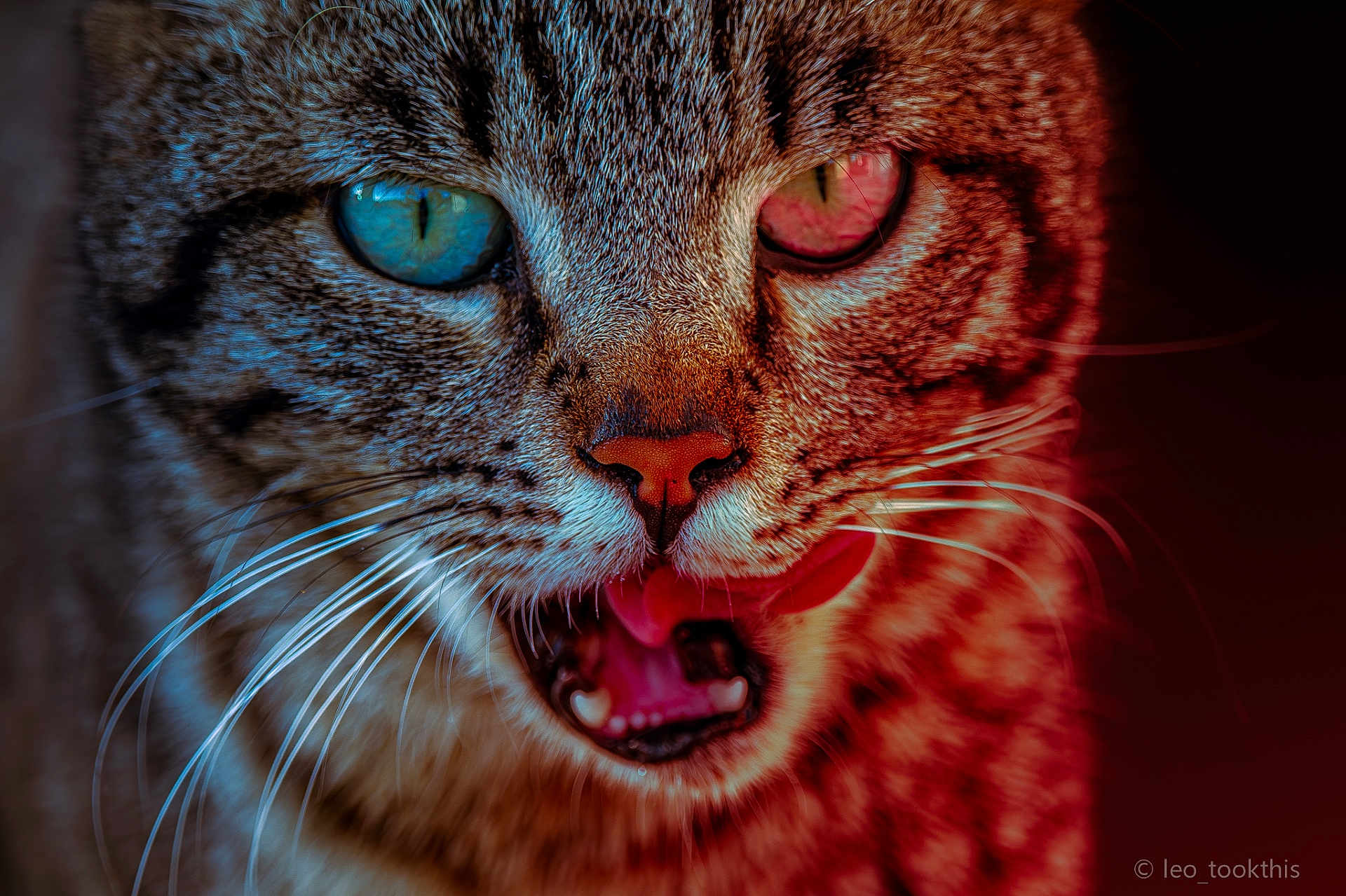 Jinx