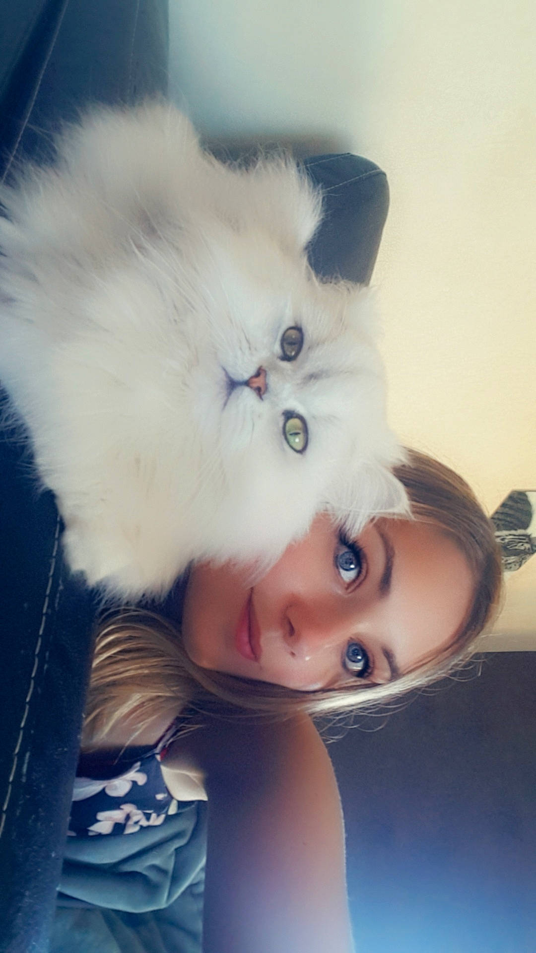 Vanille participe au concours pour gagner de l'argent avec cette photo : blue, carnivore, cat, ear, eye, eyebrow, eyelash, fawn, felidae, hair, happy, head, iris, lip, nose, skin, small_to_medium_sized_cats, snout, toy, whiskers