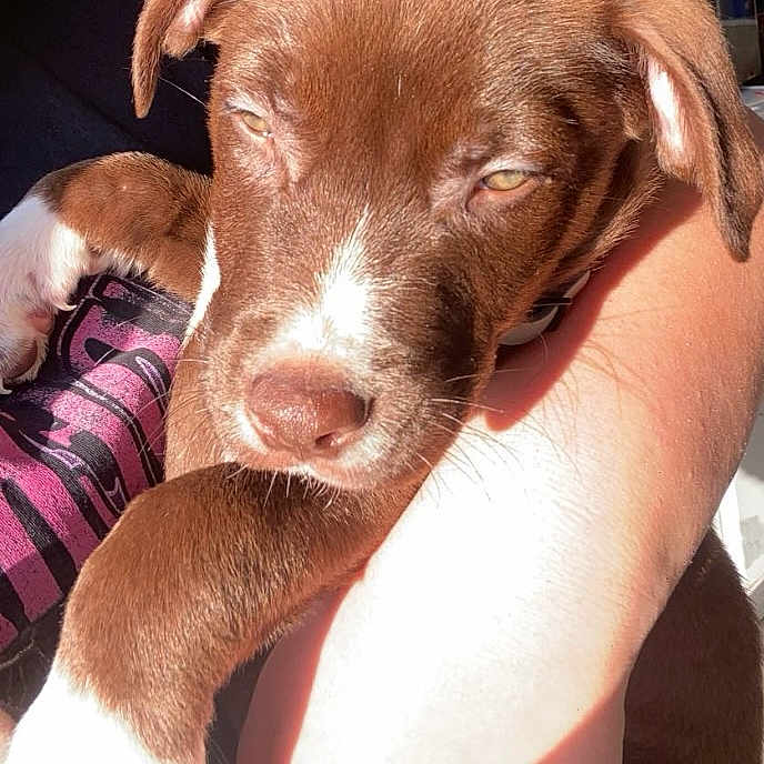 Max