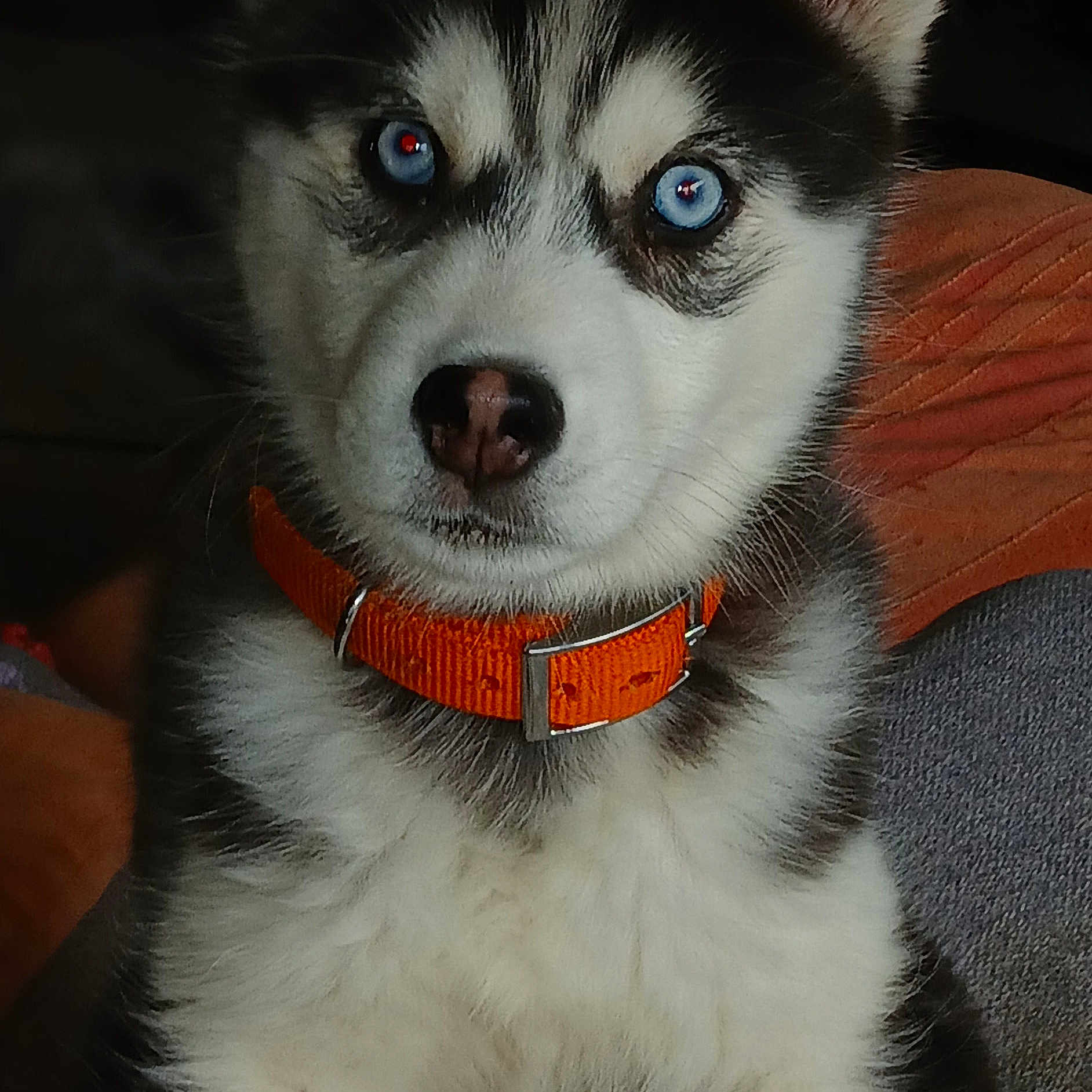 Azur