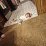 Divinity joined the competition — help win amazing prizes! toddler, child, floor, carpet, tile, kitchen, cabinet, bow, clothing, barefoot, person, indoor, curious, lying_down, wood, textile, pattern, household, home, casual
