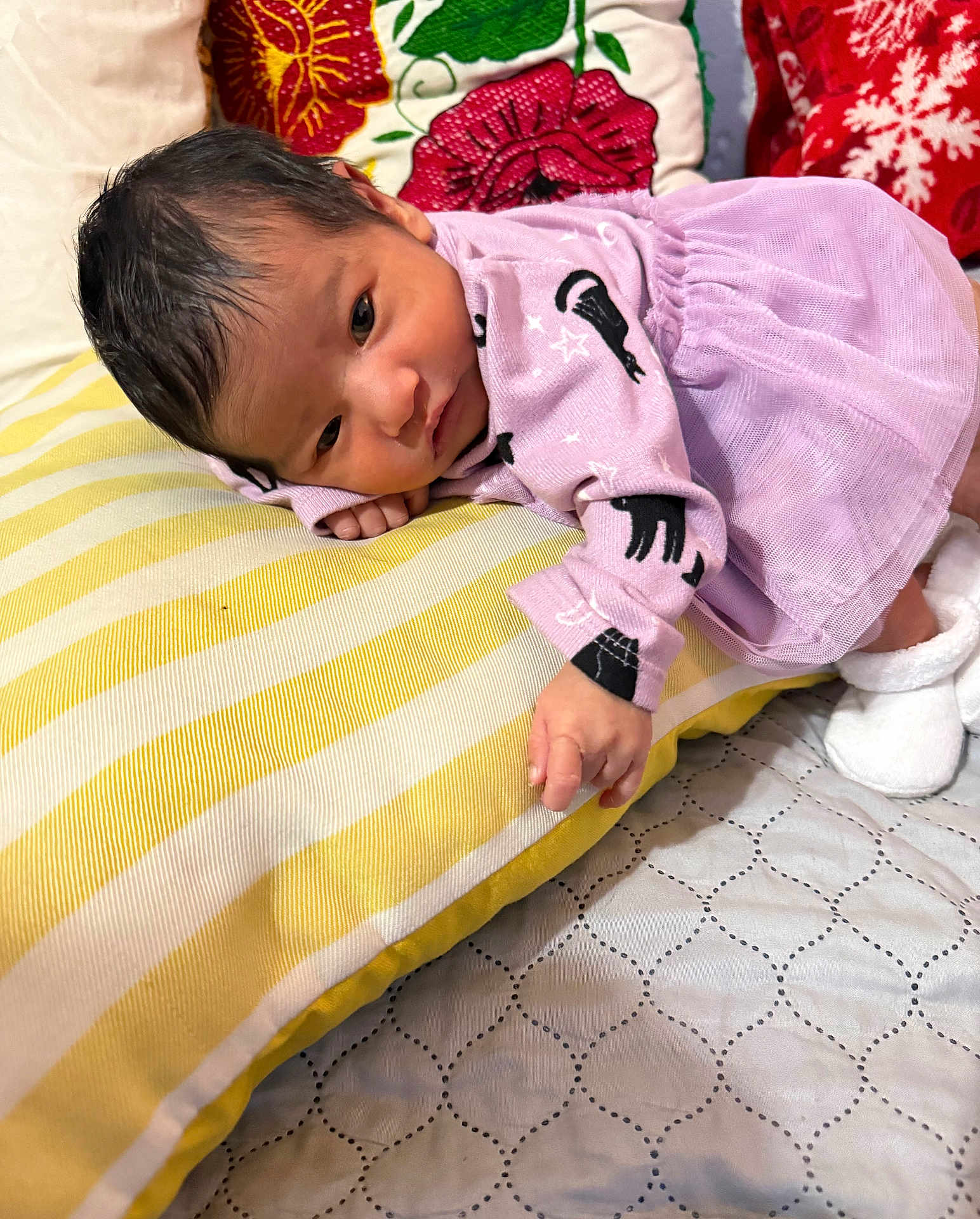 Cecilia is registered to the contest to win money with this photo: baby, infant, pillow, purple_dress, black_cat_print, lying_down, curious_expression, cushion, yellow_stripes, blanket, indoor, soft_lighting, newborn, cute, cozy, person, face, hand, footwear, home