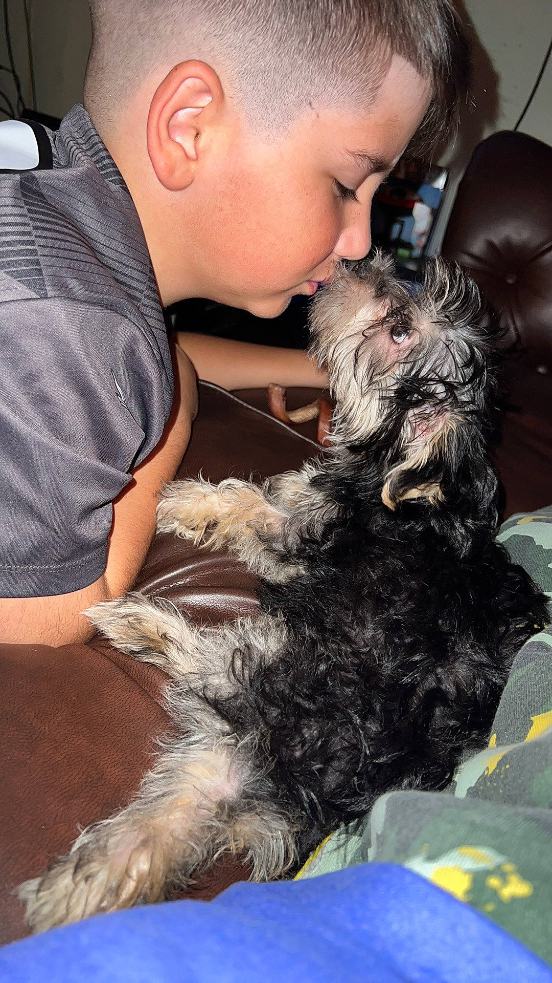 Gnocchi is registered to the contest to win money with this photo: baby, canidae, carnivore, comfort, companion_dog, dog, dog_breed, ear, fur, human, non_sporting_group, puppy_love, sitting, small_terrier, snout, sporting_group, terrier, toy_dog, water_dog, working_animal