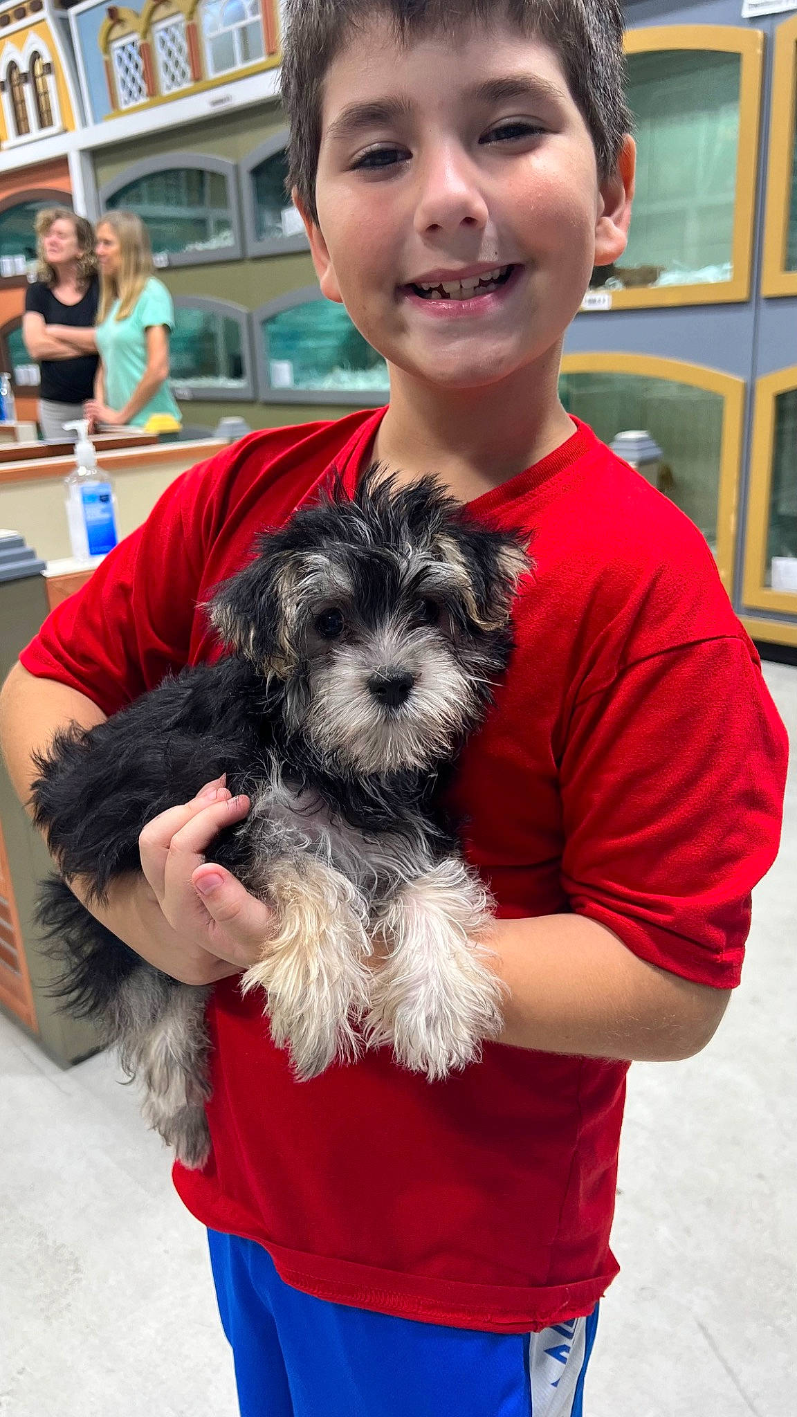 Gnocchi is registered to the contest to win money with this photo: blue, canidae, carnivore, companion_dog, dog, dog_breed, dog_supply, fur, hat, maltepoo, pet_supply, small_terrier, smile, snout, sporting_group, t_shirt, terrier, toy_dog, window, working_animal