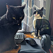 Nova joined the competition — help win amazing prizes! animal, black_cat, cat_figurine, closeup, computer_keyboard, computer_mouse, curtains, decor, desktop_accessories, electronics, feline, headphones, indoor, lego_cat, office_desk, pet, sitting, technology, wooden_desk, yellow_eyes