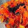 cat, black_cat, kitten, animal, pet, feline, autumn, fall_leaves, artificial_leaves, orange_leaves, red_leaves, yellow_leaves, foliage, camouflage, hiding, peeking, eyes, whiskers, indoor, wood_floor