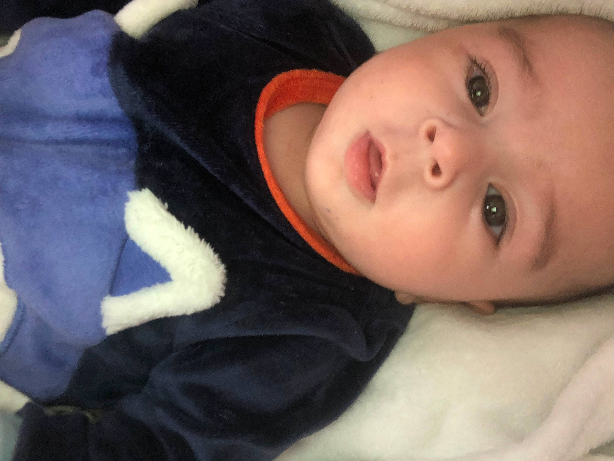 James participe au concours pour gagner de l'argent avec cette photo : baby, baby_toddler_clothing, cheek, child, comfort, electric_blue, eyelash, fur, iris, nose, person, portrait_photography, sitting, toddler