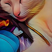 Inga is registered to the contest to win money with this photo: cat, close_up, sleeping, white_fur, pet, cozy, indoor, colorful_objects, yellow_string, blue_object, whiskers, fur, cute, relaxing, domestic_animal, rest, soft, animal_face, nap, content