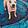 animal, blue, canine, daylight, dog, fence, fun, grass, happy, joyful, leaves, nature, outdoor, pet, playful, portrait, smiling, summer, trampoline, yellow