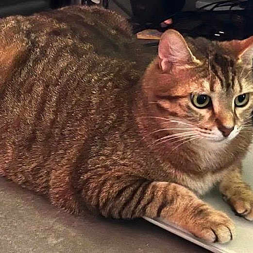 Tina