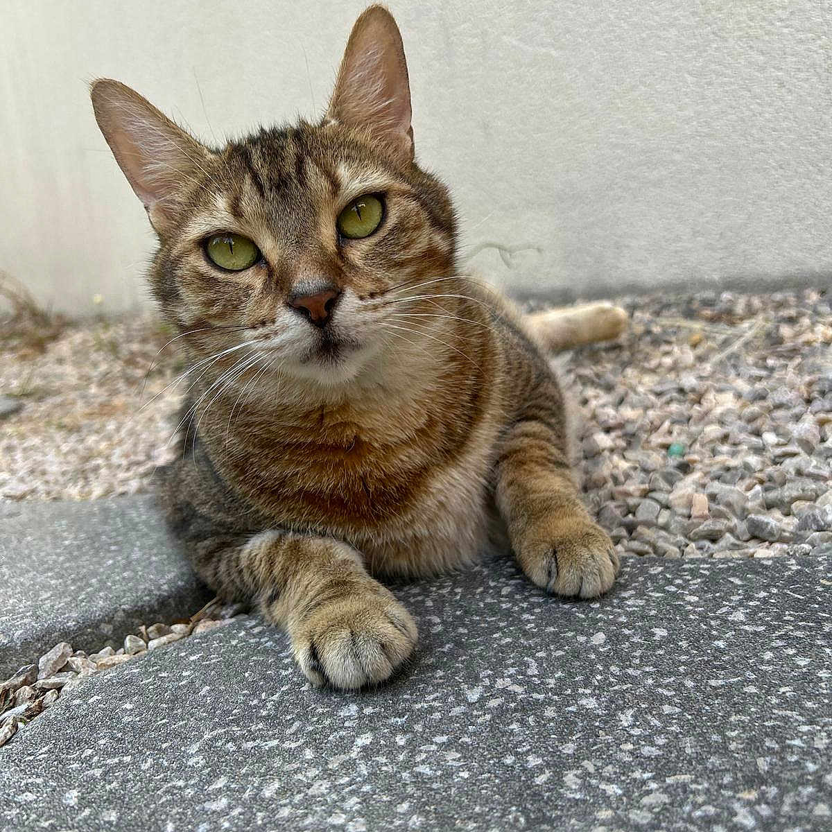 Tina