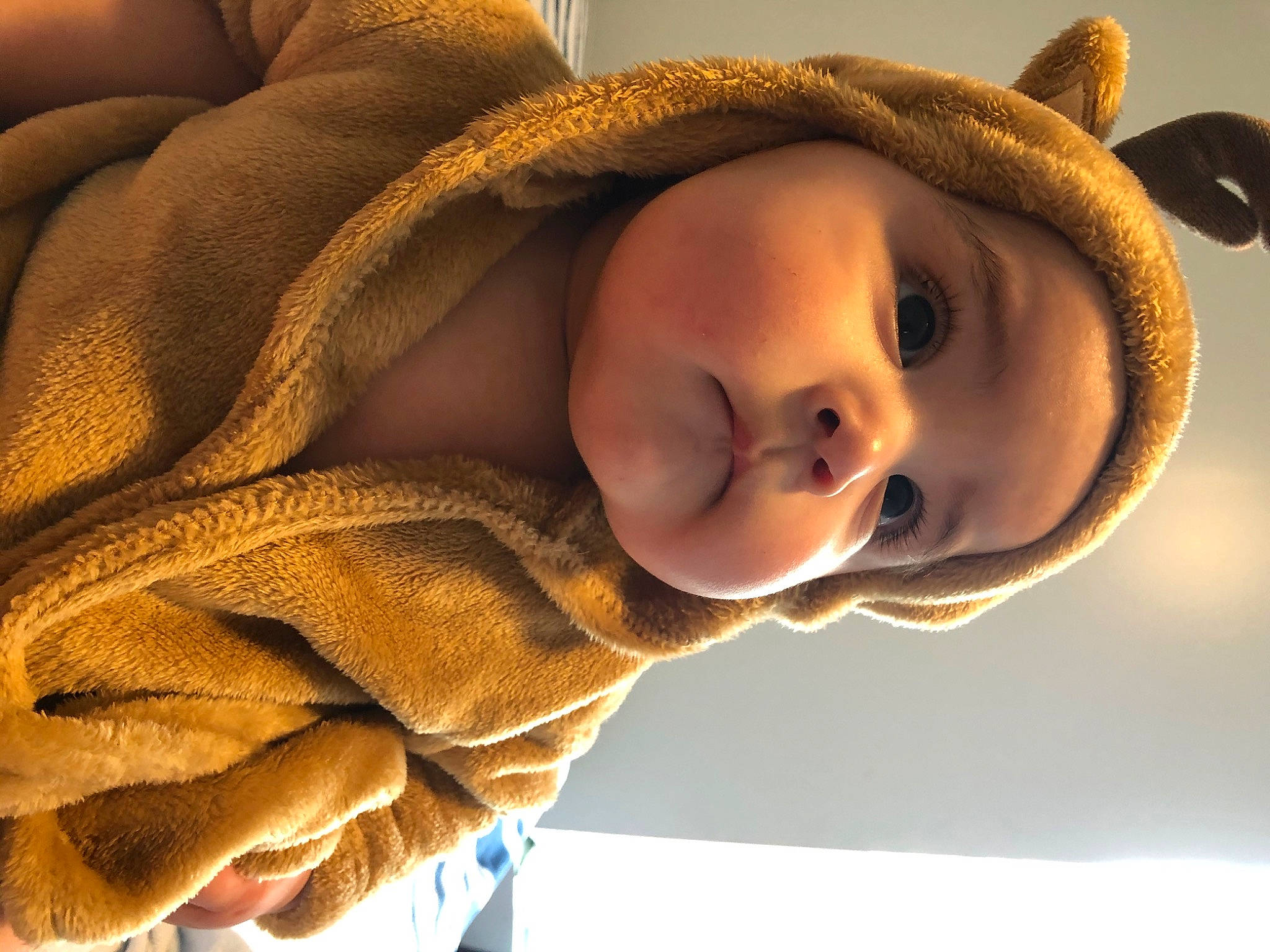 Enrique is registered to the contest to win money with this photo: baby, cheek, child, ear, fawn, fur, happy, head, person, skin, smile