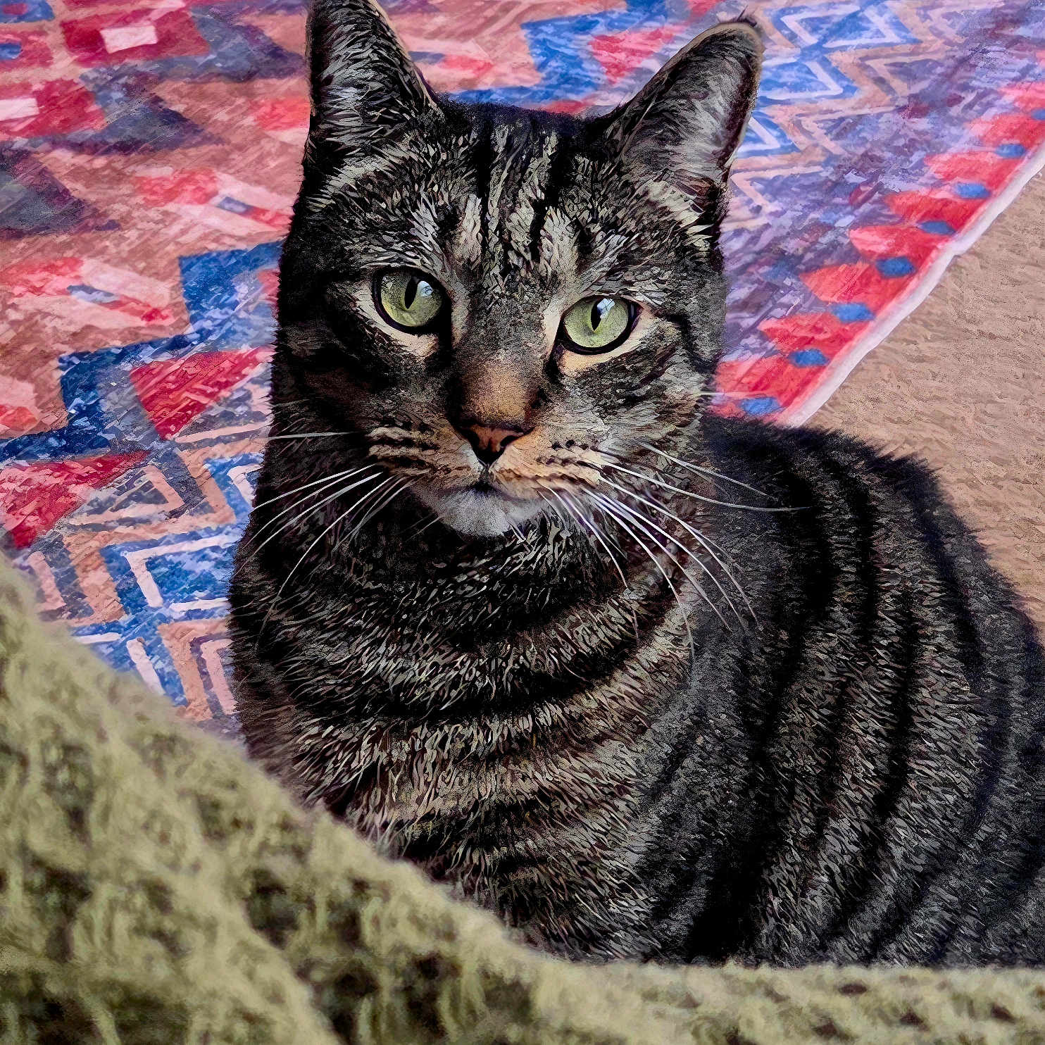 Rocky