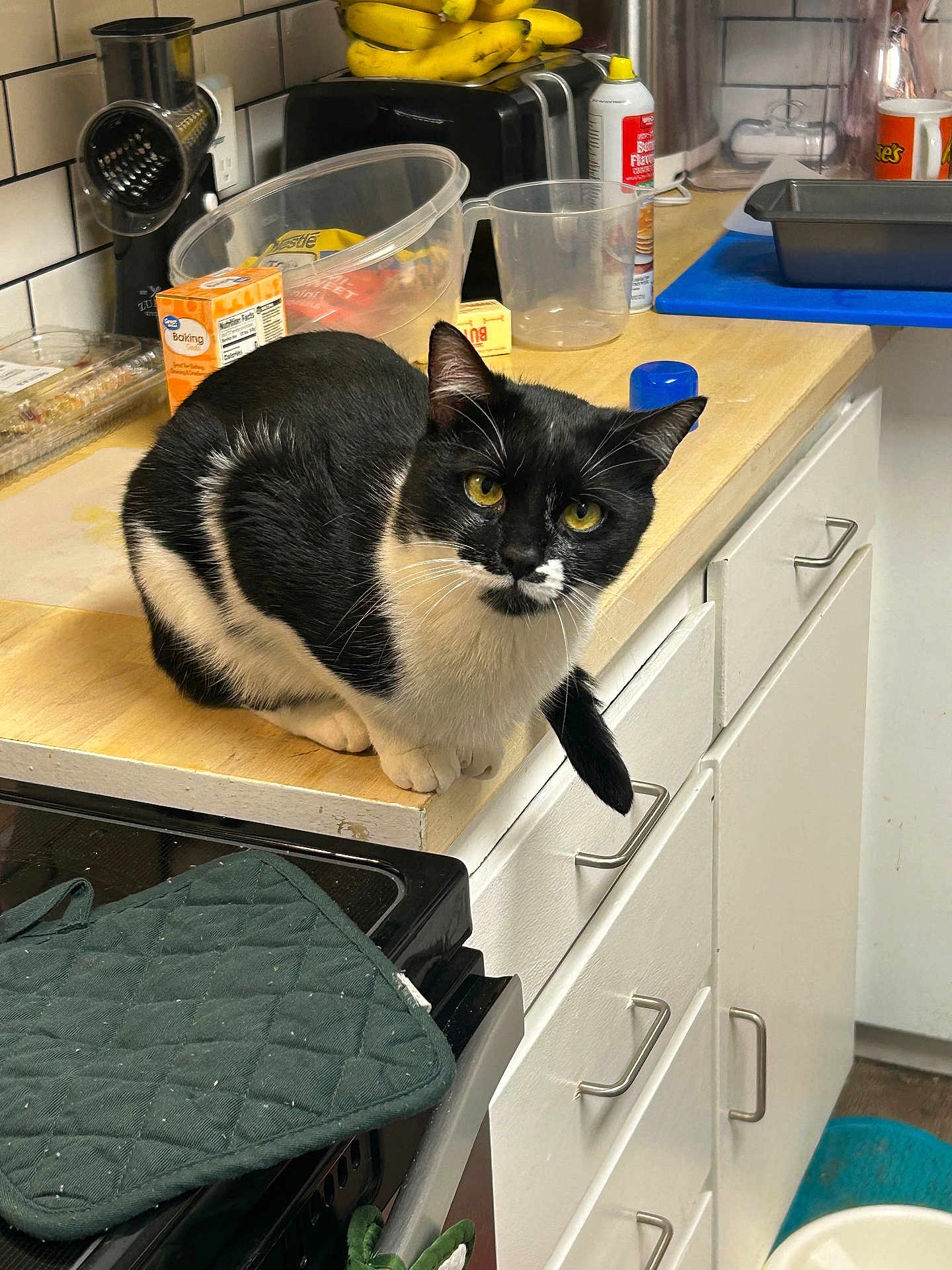 Midnight is registered to the contest to win money with this photo: cat, black_and_white, kitchen, countertop, baking_supplies, banana, plastic_container, oven_mitt, stove, cabinet, butter, kitchen_utensils, food_packaging, tile_wall, yellow_eyes, pet, indoor, curious, animal, appliance
