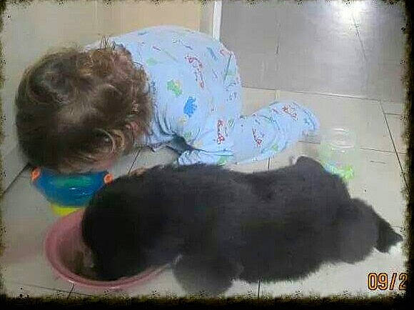 Molly is registered to the contest to win money with this photo: canidae, carnivore, comfort, companion_dog, dog_breed, fur, mammal, nap, paw, rectangle, small_to_medium_sized_cats, sporting_group, tail, terrestrial_animal, toddler, visual_arts