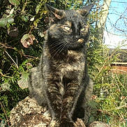 Calinette participe au concours pour gagner de l'argent avec cette photo :