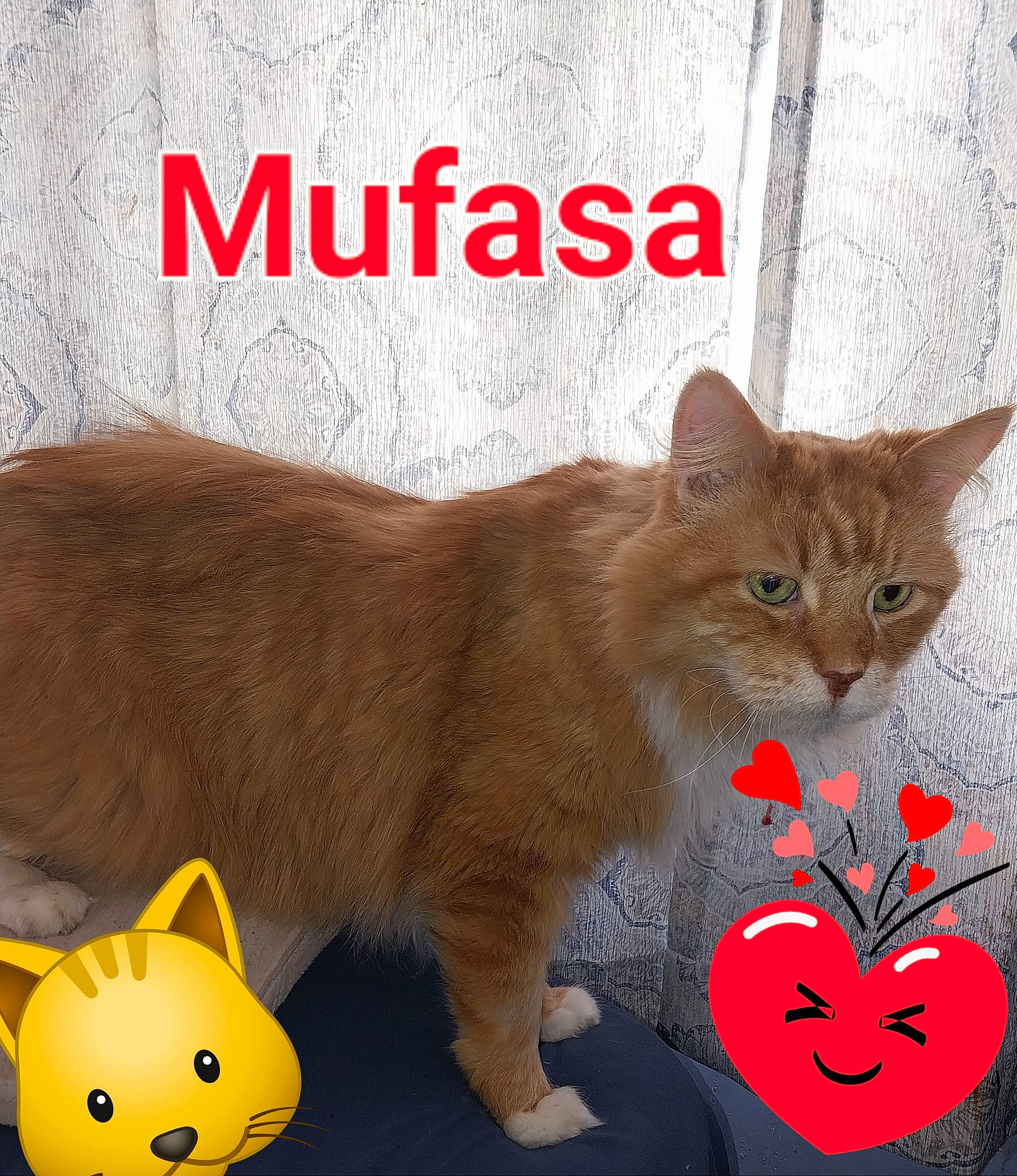 Mufasa